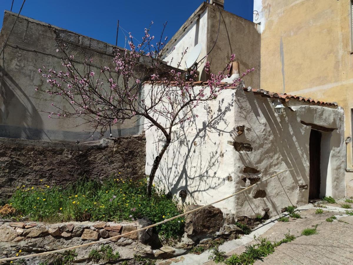 Sa Dommu 'E Su Coro Villa Triei Bagian luar foto